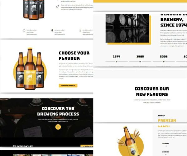 WordPress Designer