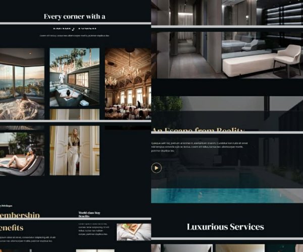 WordPress Designer